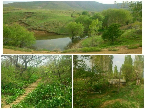 طبیعت بهاری منطقه کمیجان
