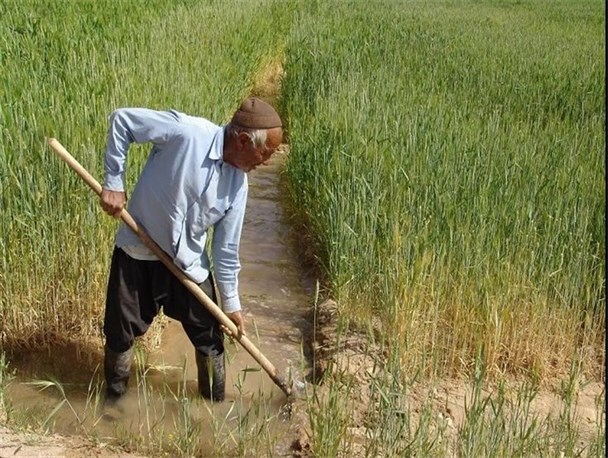 مشکل آب؛ بهانه‌ای برای فرار  مدیران از بار مسئولیت «کشاورزی» شده است