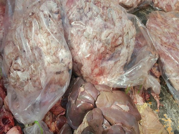 بیش از یک تن گوشت منجمد بدون هویت در استان معدوم شد