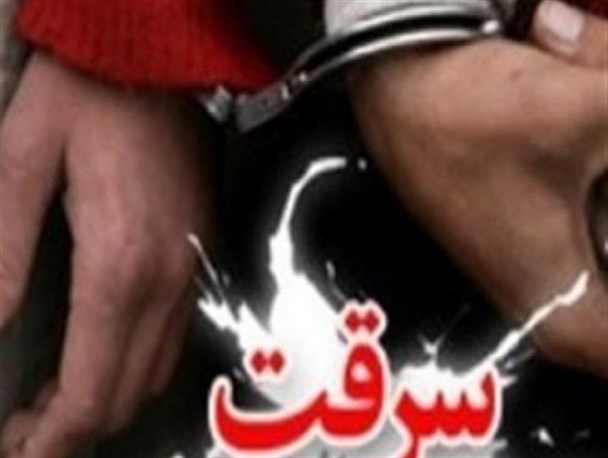کاهش 66 درصدی سرقت خودرو و 50 درصدی منزل در هرسین