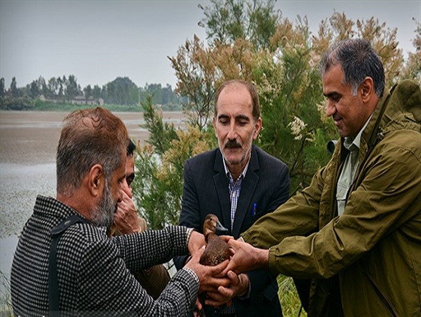 آزادسازی پرندگان به مناسبت روز جهانی پرندگان مهاجر در زاغمرز بهشهر