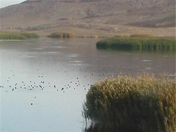تالاب بیشه دالان بروجرد به محیط زیست واگذار شد