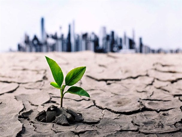 خشکی و کم‌آبی امسال نسبت به ۵۰ سال گذشته بی سابقه است/ بی‌تدبیری در تَرسالی، کوره خشکسالی را داغ‌تر کرد