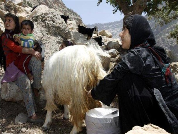 چرخاندن چرخه ی سنگین زندگی با دستان مردانه زنان روستایی