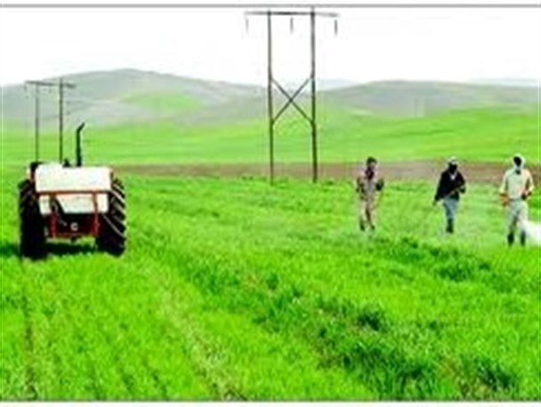 عدم وجود کشاورزان جوان در روستاهای شهرضا یک معضل است