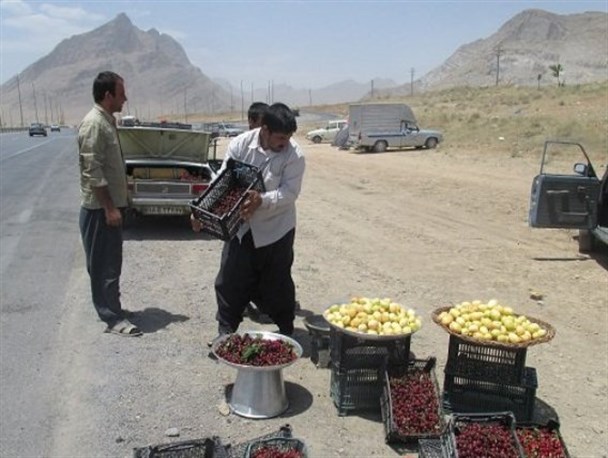 کنار جاده،پناهی برای کشاورزانی که "هیچ" گیرشان می آید+عکس