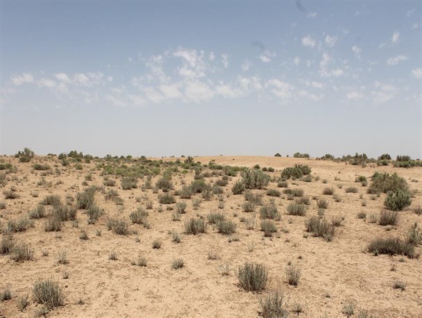 کنترل بحران بیابانزایی در قزوین نیازمند مدیریت ویژه است