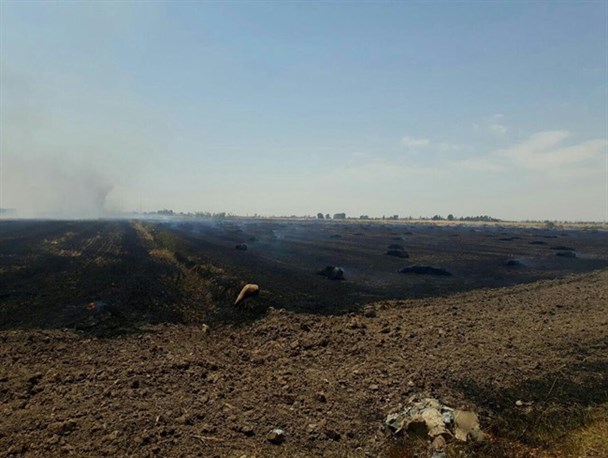 آتش سوزی در مزارع روستای مارانکلاته+صاویر