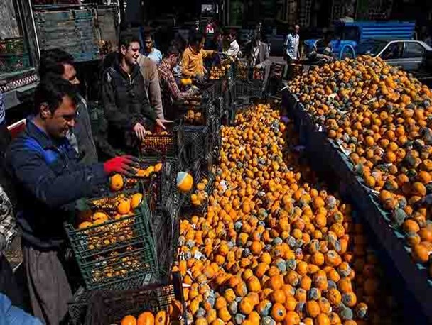 ۳۰۰ کانتینر میوه و تره بار ایران در مرز آذربایجان فاسد شد/ هر تاجر ایرانی ۵ تا ۲۰ میلیارد تومان خسارت دید