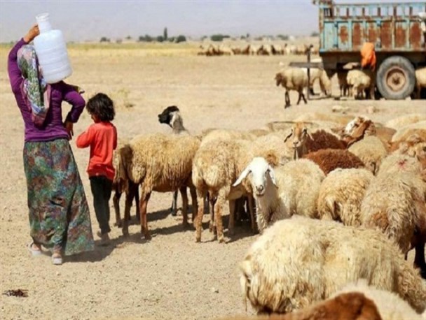 فریاد بی‌صدای کمبود آب کوچ‌نشینان کرمانشاهی