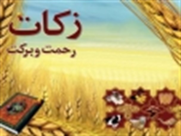 زکات سنت الهی فراموش شده در بین مردم