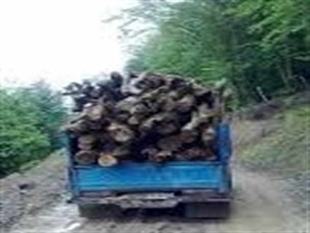 کشف ۱۰ تن چوب قاچاق در آمل