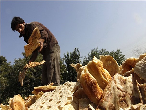 ۴٫۵ تن گندم در روند تولید نان در کشور به هدر می‌رود