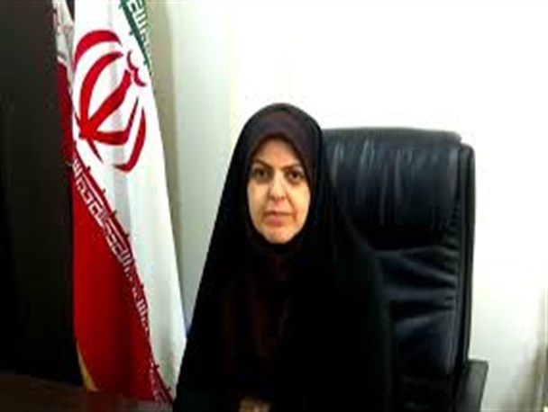 در کل استان فقط یک مرکز کارآفرینی بانوان وجود دارد/ عدم همکاری بانکها با کارآفرینان روستایی یک معضل بزرگ است