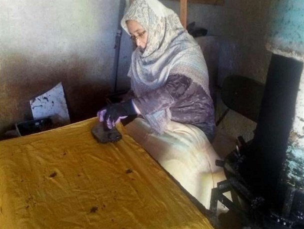 فرصت شغلی فراهم شود، مردم تن به غربت نمی‌دهند/ طعم شیرین کارآفرینی در بستر حمایتی خانواده