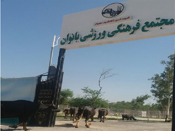 توهین یک مقام استانداری خوزستان به بانوان اهوازی