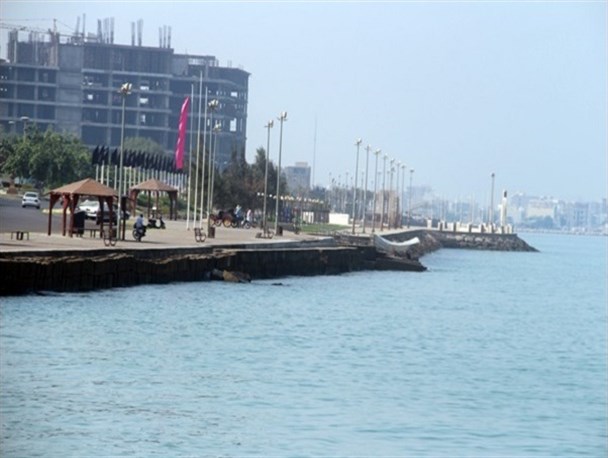 سواحل بندر بوشهر میزبان شرجی دوستان+ تصاویر