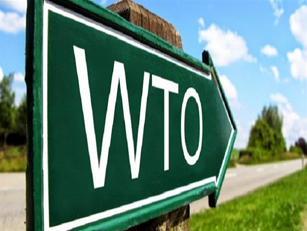 دولت به مرور چتر حمایت از صنعت را جمع می‌کند/ راهی جز ورود به بازارهای جهانی و  WTO نداریم