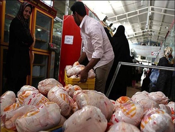 200 تن مرغ منجمد در گلستان با هدف طرح تنظیم بازار توزیع شد