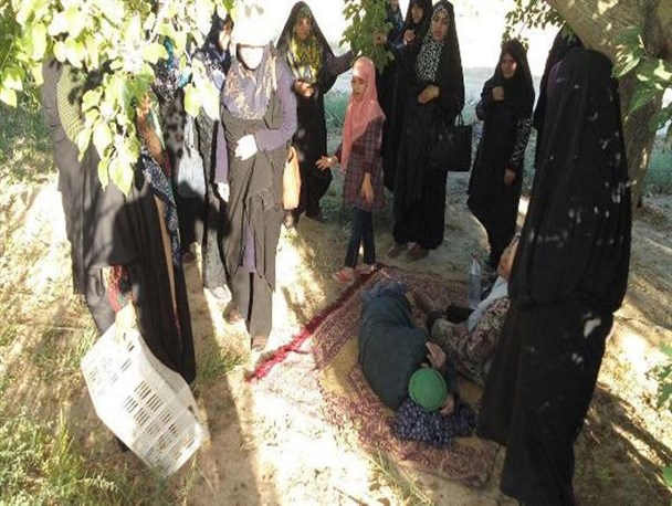 جمع‌آوری محصول انگور کشاورزان مروستی توسط بانوان جهادگر یزدی