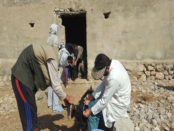 ۹۸ گروه جهادی تابستان امسال به مناطق محروم اعزام شدند/ ۱۱۱ طرح محرومیت زدایی استانی در حال اجراست