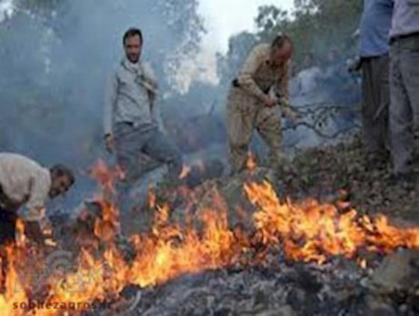 آتش‎سوزی گسترده در کوه‎های عنای باشت و نیاز فوری به بالگرد