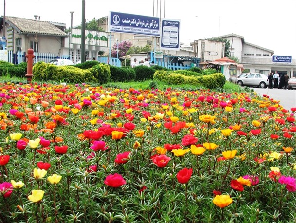 نماینده ماسال به بیمارستان حشمت رشت منتقل شد