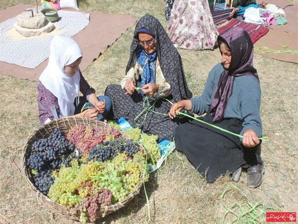 جشنواره روستایی و انگور در خمین برگزار شد+ عکس