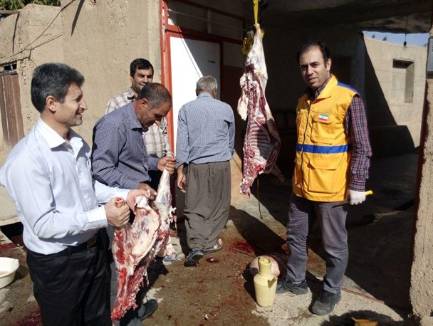 بازدید از انجام ذبح و قربانی 470 راس حیوان در روز عید قربان