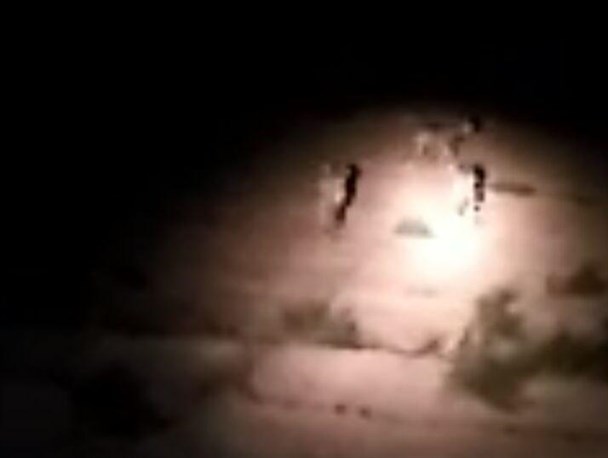 مشاهده یک یوزپلنگ ماده و سه توله‌اش در پناهگاه حیات وحش میاندشت جاجرم