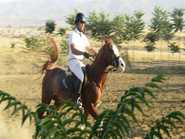اسب و سوارکاری در باشگاه اکباتان + تصاویر