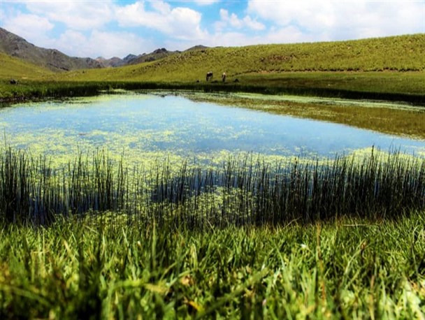 بهشتی در دل کویر کرمان