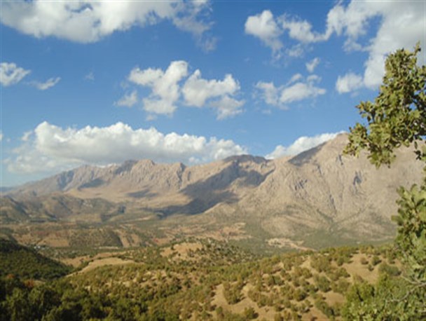 طبیعت دیدنی جوانرود از شاهو تا بیلایی