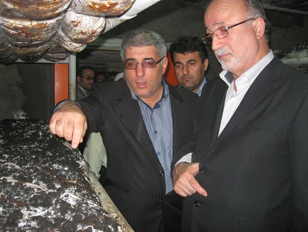 اخراج فله‌ای کارگران واحدی که استاندار گیلان افتتاح کرد! + جزییات