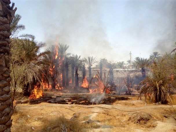 بهشت میوه های لاکچری فاقد ناجی!/ خسارات جبران ناپذیر برای مردم نقطه صفر مرزی