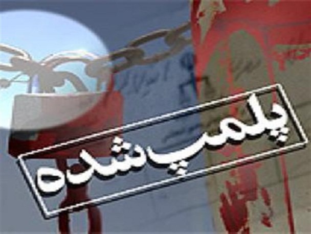 کارخانه غیرمجاز تولید خوراک دام در تاکستان پلمپ شد