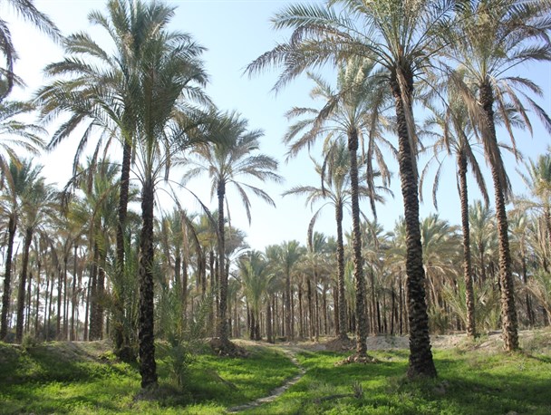 روستای کلوک ظرفیت تبدیل شدن به قطب گردشگری را دارد