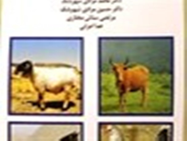 ترجمه کتاب ریچارد ام. بوردون با عنوان«مفاهیم اصلاح نژاد دام»