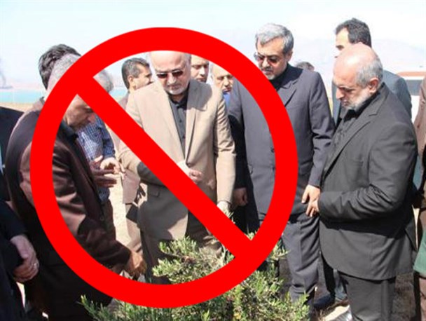 مخالفت مسئولین رودبار با طرح زیتون کاری ۵ هکتاری جمال آباد