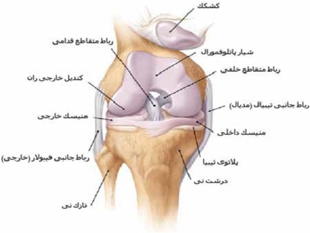 دردهای مزمن زانو را جدی بگیرید