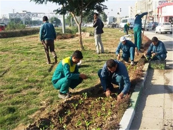 معوقات کارگران فضای سبز کوار پرداخت می شود