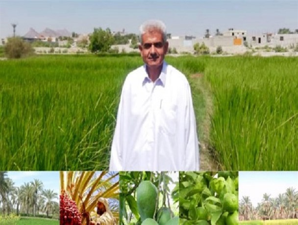 اشتغال بیش‌ از ۶٠درصد از مردم نیکشهر در بخش کشاورزی/ توسعه بیشتر در گرو حفظ و احیای منابع آبی است