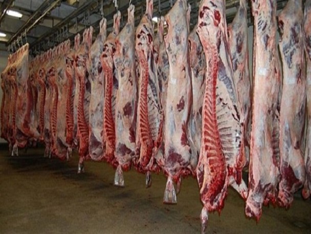 پیش‌بینی کاهش تولید گوشت قرمز در سال آینده/ کشتار دام‌های مولد در زنجان همچنان ادامه دارد