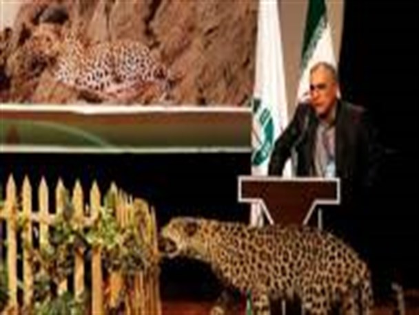 بعد از سه دهه انقراض ؛ آهوی گرگان باز می گردد