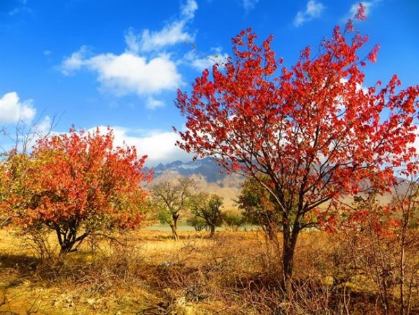 جلوه زیبای پاییز در روستای خان آباد خمین