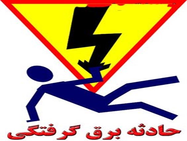 برق، جان سارق سابقه دار کابل برق را گرفت