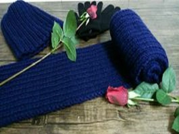 پویش جمع آوری لباس گرم برای مدافعان حرم