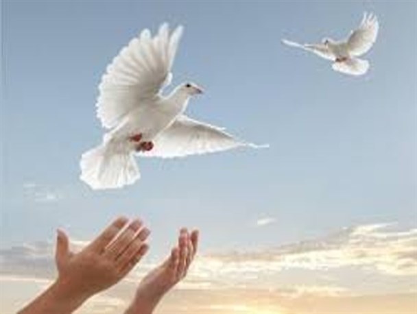 69زندانی جرایم غیرعمد در سیستان و بلوچستان چشم انتظار خیران/ بدهکاران مالی درصدر جرایم