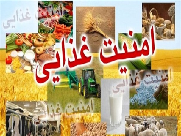 طرح امنیت غذایی گامی در جهت افزایش سلامت غذایی/ اجرای ۵ ساله طرح امنیت غذایی در همدان