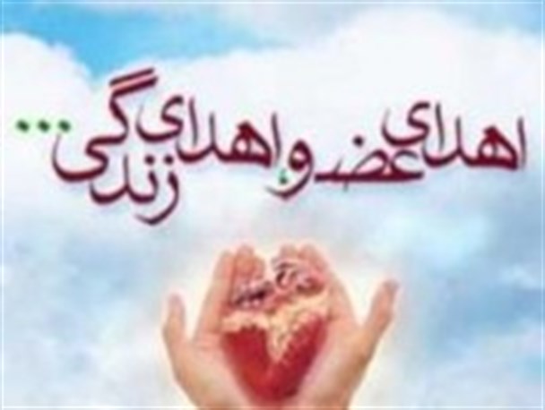 اهدا عضو در مشهد به چهار بیمار زندگی دوباره بخشید